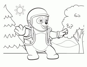 oso2