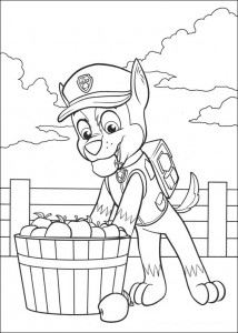psi-patrol-kolorowanki-8